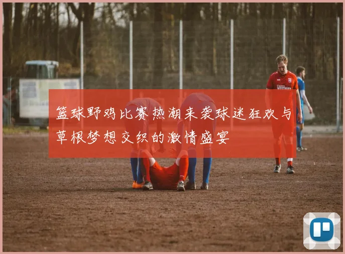 篮球野鸡比赛热潮来袭球迷狂欢与草根梦想交织的激情盛宴