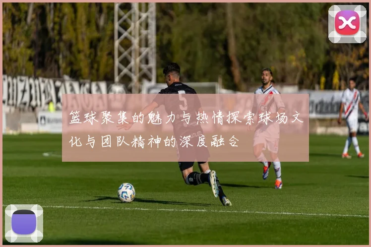 篮球聚集的魅力与热情探索球场文化与团队精神的深度融合