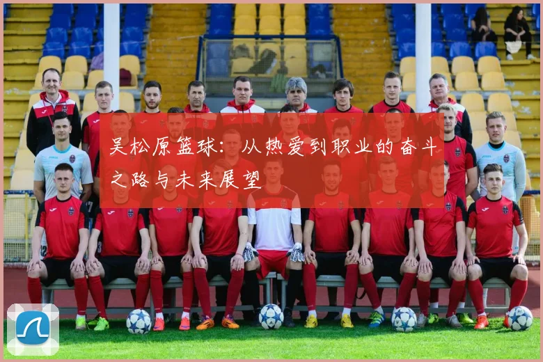 吴松原篮球：从热爱到职业的奋斗之路与未来展望