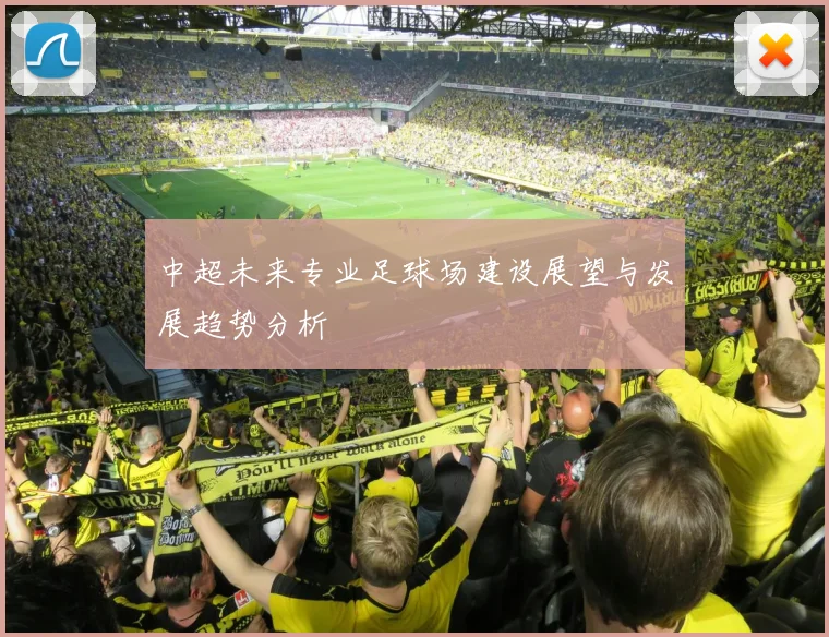 中超未来专业足球场建设展望与发展趋势分析