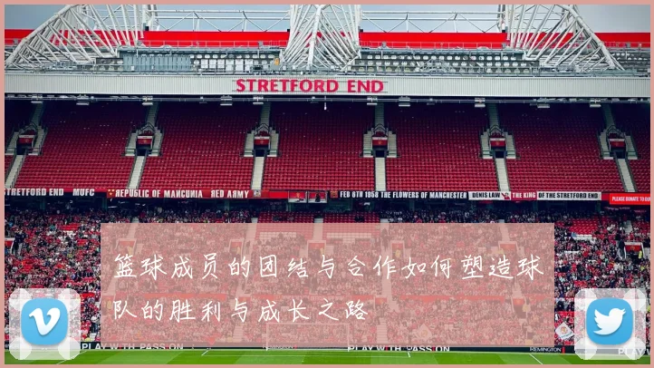 篮球成员的团结与合作如何塑造球队的胜利与成长之路